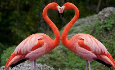 Lake Nakuru National Park