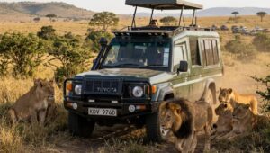Hire a Safari Land Cruiser in Nairobi