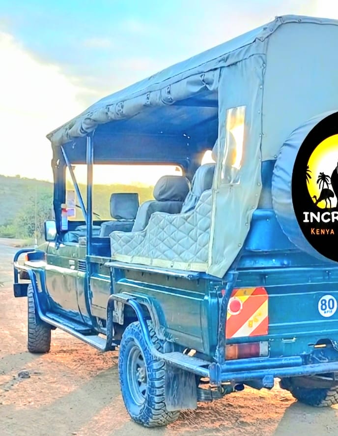 Hire of a tour Cruiser in Nairobi, Kenya.