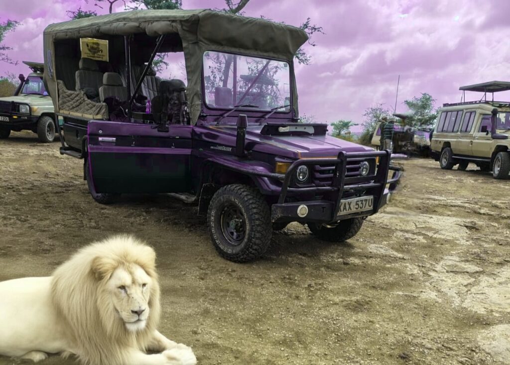 Hire of a tour Land Cruiser