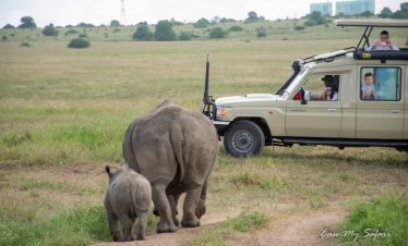 Day in Nairobi National Park
