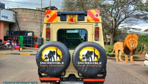 Nairobi National Park Tour Land Cruiser