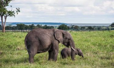 National Parks and Game Rules